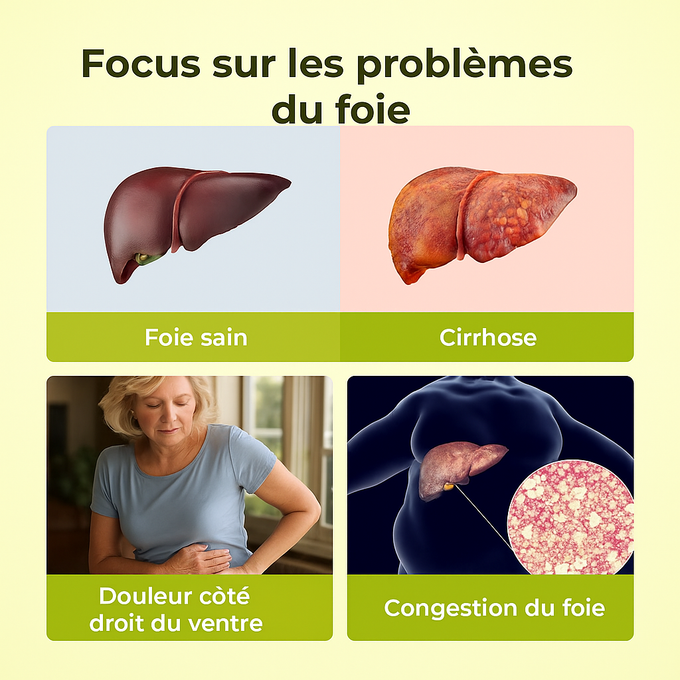 Capsules détoxifiantes au chardon marie - Soutien et nettoyage du foie